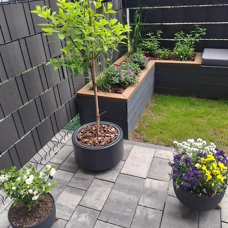 Apartament Lux *